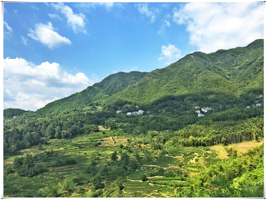 IMG_3362_meitu_17